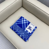 China Replica Burberry Scarf 54usd Only